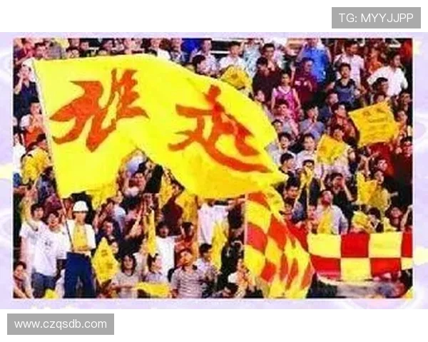 上海申花足球队：历程、辉煌与未来发展前景探讨