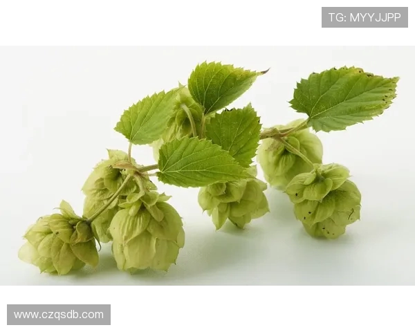 足球新时代:全球联赛格局变化与球员转会潮流深度剖析 足球新时代:全球联赛格局变化与球员转会潮流深度剖析