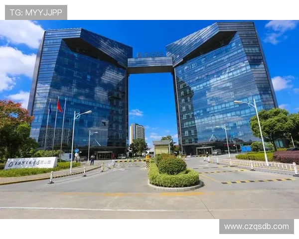 深度分析深圳足球队的运营策略与发展路径探讨