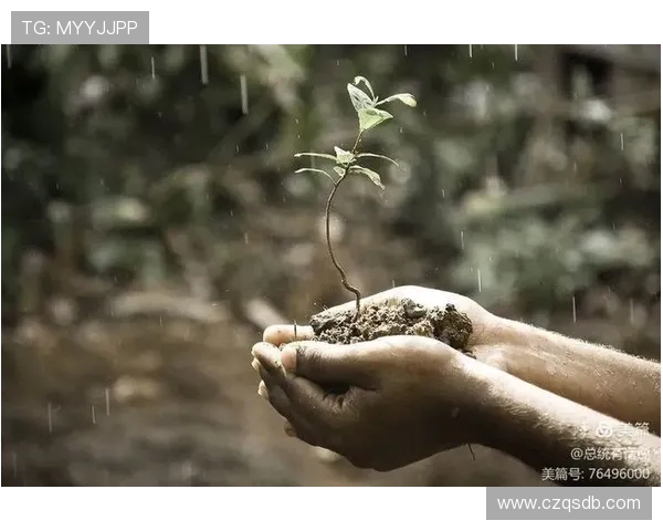 张帆的奋斗历程与人生哲学探索如何在逆境中寻找成长的力量与智慧